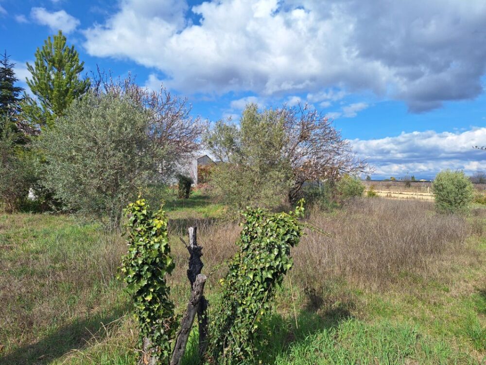 vente Maison - 4 pièce(s) - 80 m² Villeneuve (04180)