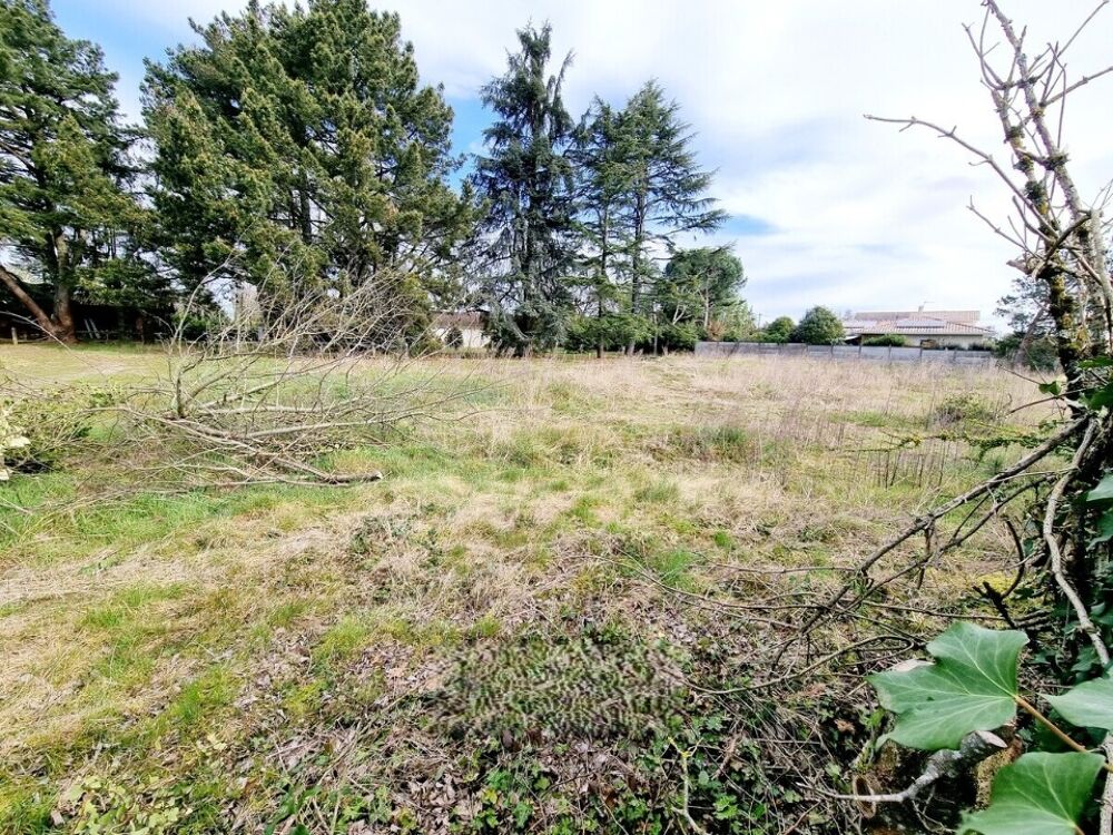 vente Terrain - 905 m² Pézenas (34120)