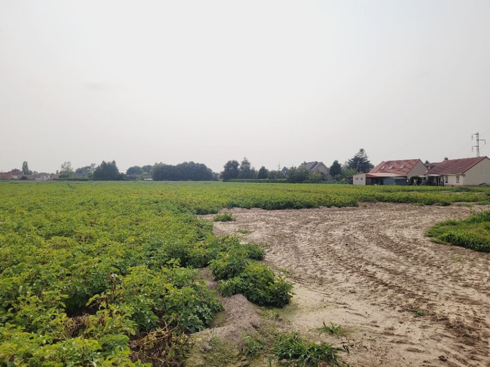 vente Terrain - 420 m² Audruicq (62370)