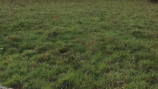  Terrain � vendre 913 m�