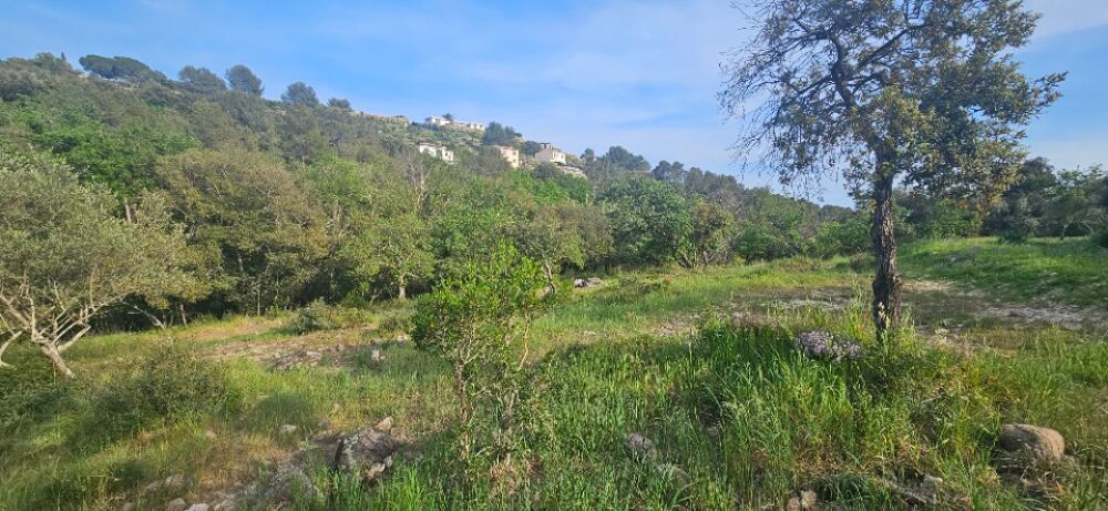 vente Terrain - 7300 m² Roquefort-les-Pins (06330)
