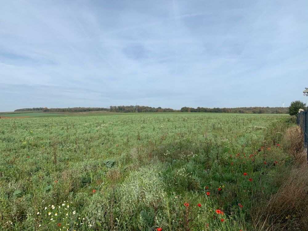 VENTE d'une maison 5 pièces (100 m²) à Ottange IDÉAL....