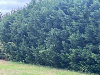  Terrain � vendre 1000 m�