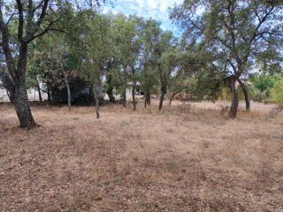  Terrain à vendre 450 m²
