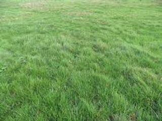  Terrain  vendre 1087 m