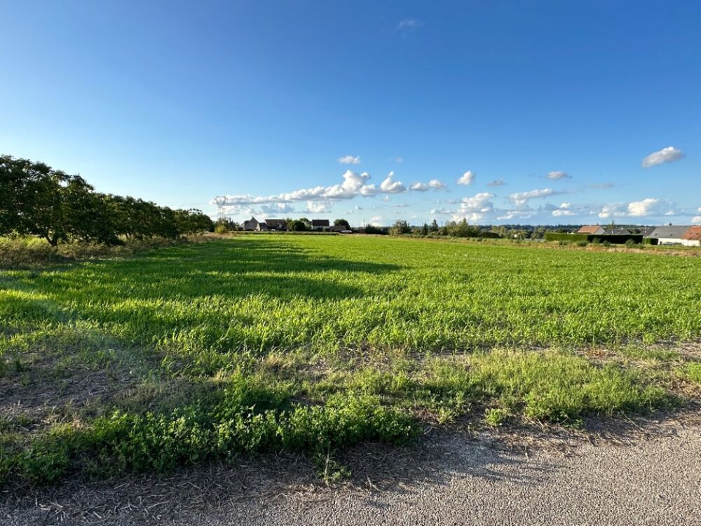 vente Terrain - 800 m² Nouzilly (37380)