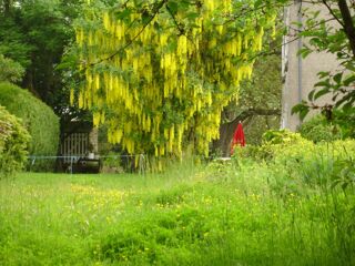  Terrain � vendre 420 m�