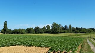  Maison à vendre 6 pièces 95 m²