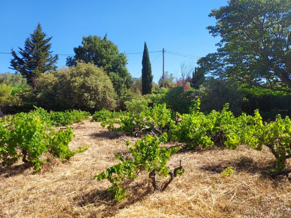 vente Terrain - 880 m² Sainte-Anastasie-sur-Issole (83136)
