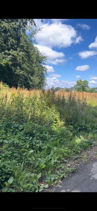  Terrain � vendre 964 m�