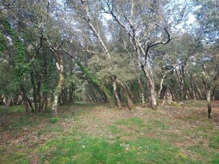 vente Terrain - 1178 m² Sainte-Anastasie-sur-Issole (83136)
