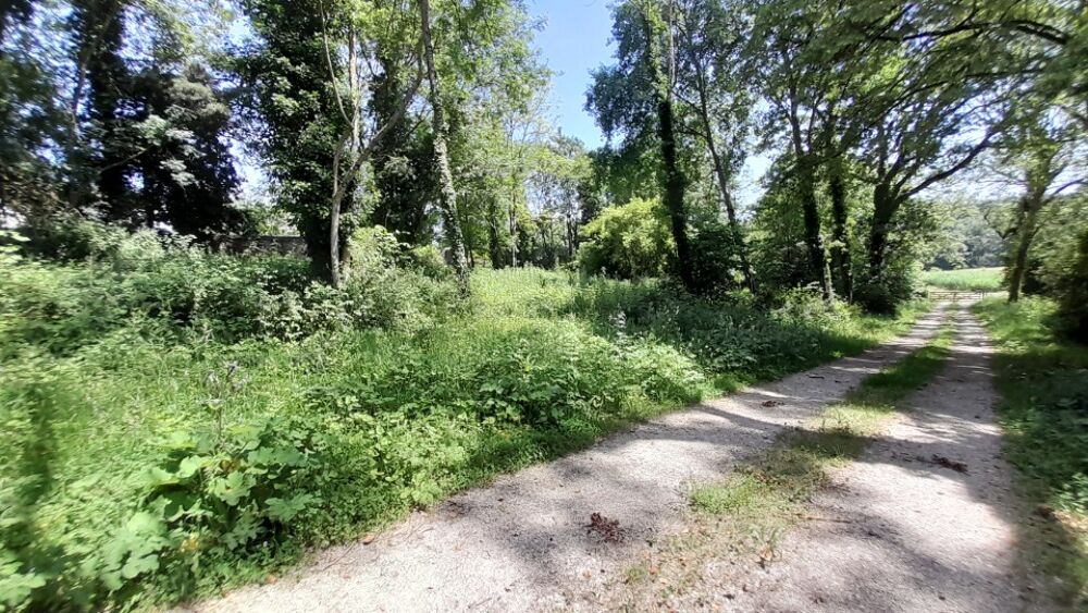vente Terrain - 1666 m² Gif-sur-Yvette (91190)