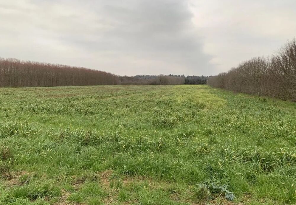Dans un environnement privilégié, Maisons France Confort....