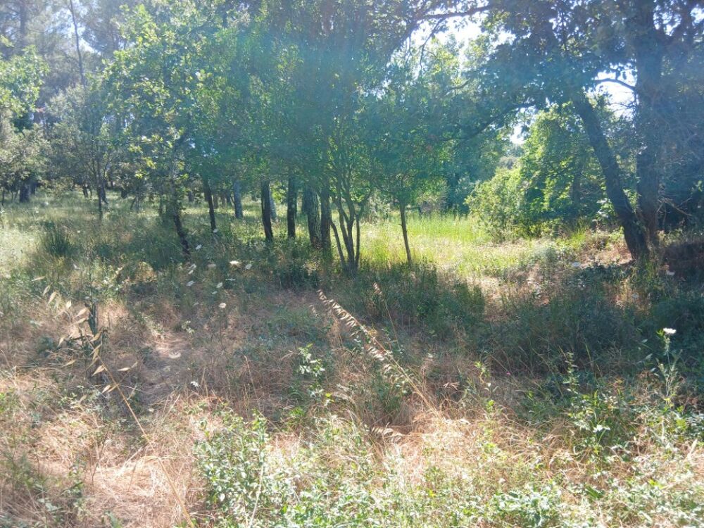 vente Terrain - 650 m² Garéoult (83136)