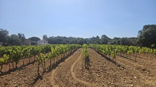  Terrain � vendre 698 m�