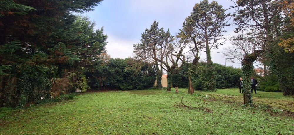 vente Terrain - 655 m² Saujon (17600)