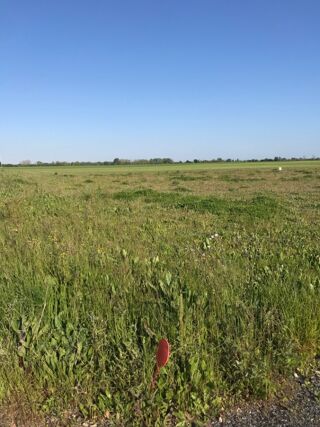  Terrain � vendre 390 m�