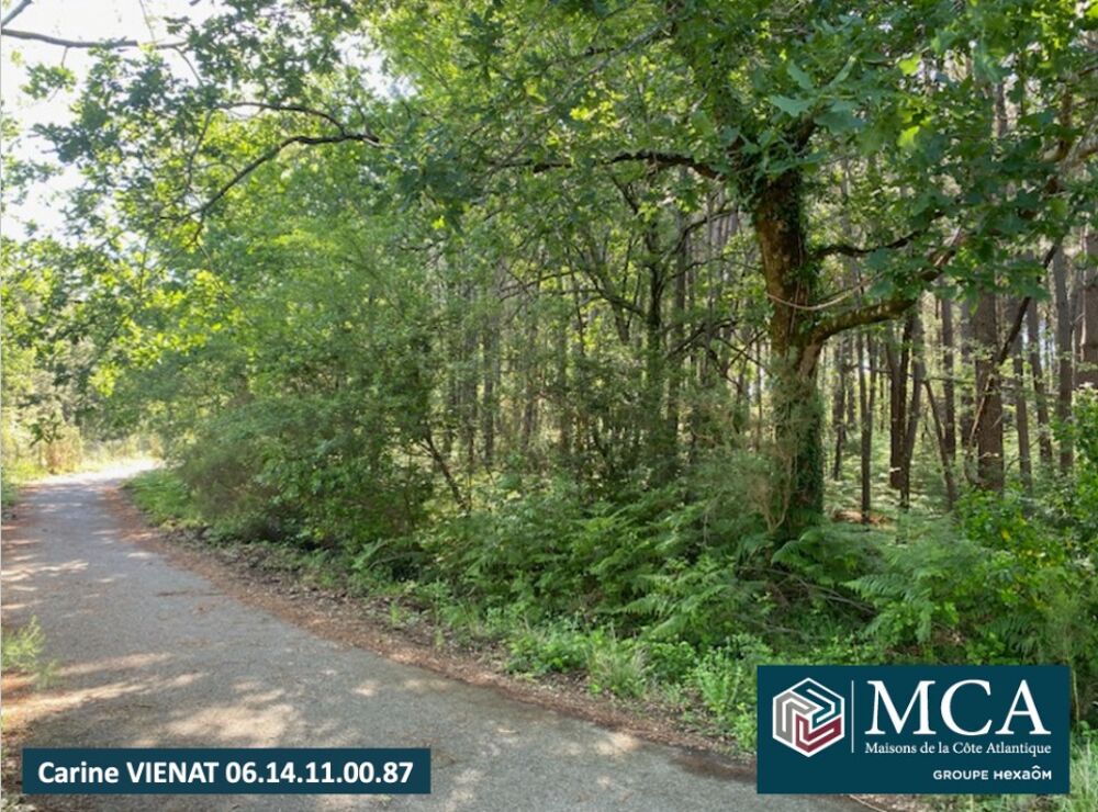 vente Terrain - 508 m² Sanguinet (40460)