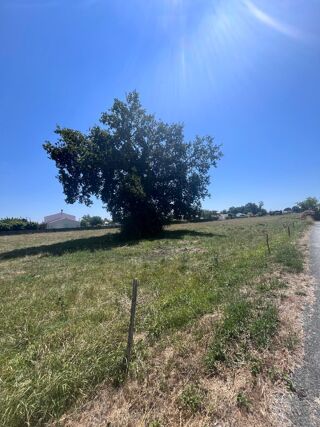  Terrain 312 m� M�dis