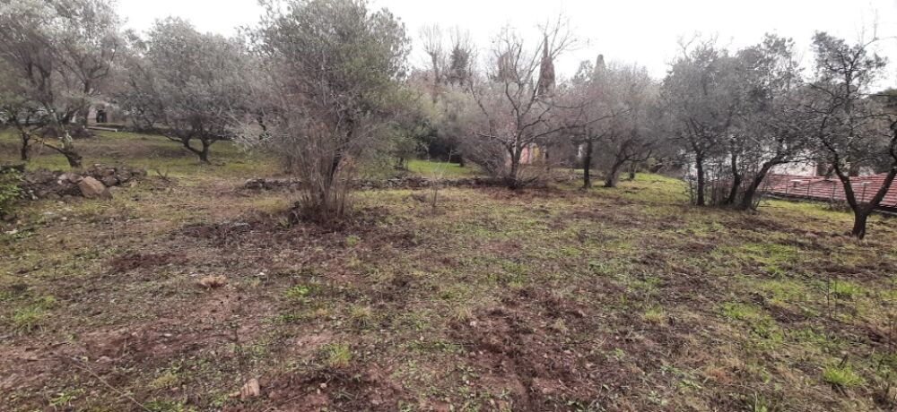 vente Terrain - 641 m² Draguignan (83300)