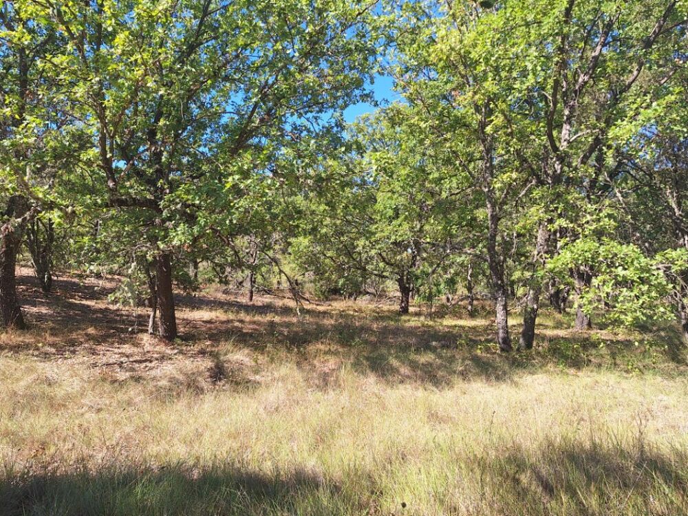 MAISONS DE MANON MANOSQUE vous propose de réaliser pour ....