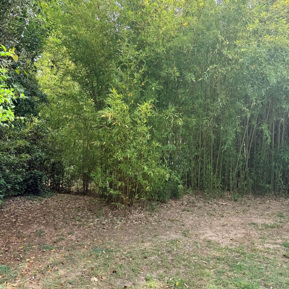 vente Terrain - 1000 m² Bouc-Bel-Air (13320)