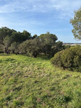  Terrain 647 m� Fr�jus