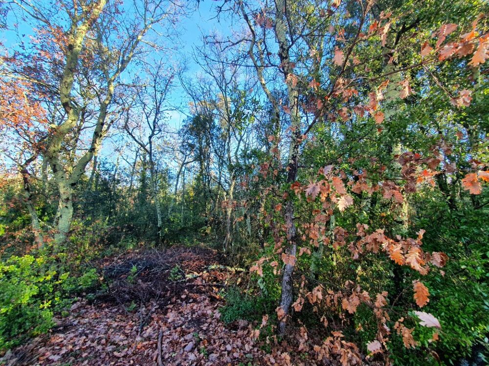 vente Terrain - 1040 m² Labastide-de-Virac (07150)