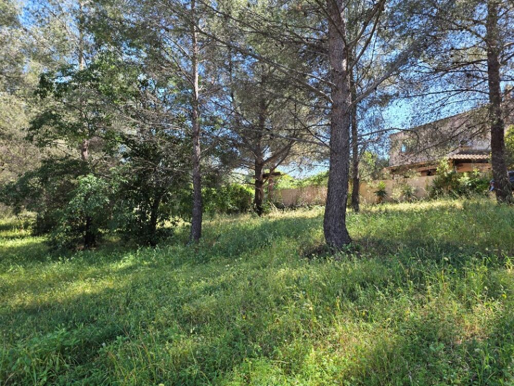vente Terrain - 706 m² La Seyne-sur-Mer (83500)