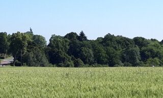 vente Maison - 6 pièce(s) - 141 m² Saint-Rémy-lès-Chevreuse (78470)