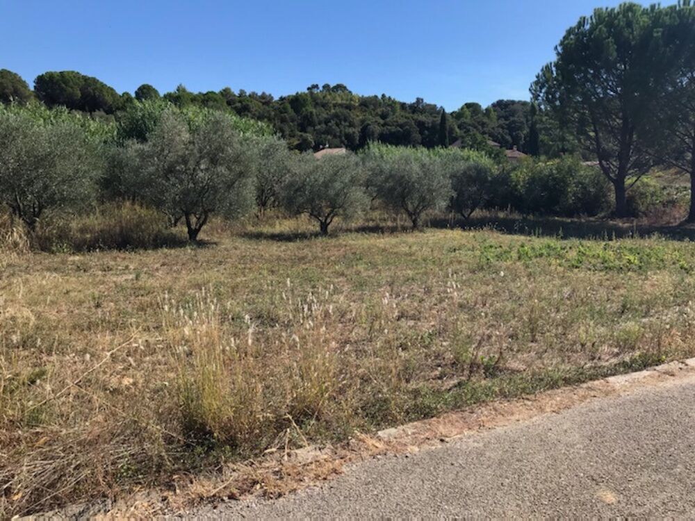 vente Terrain - 400 m Sainte-Croix-de-Quintillargues (34270)