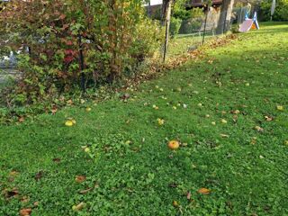  Terrain  vendre 501 m