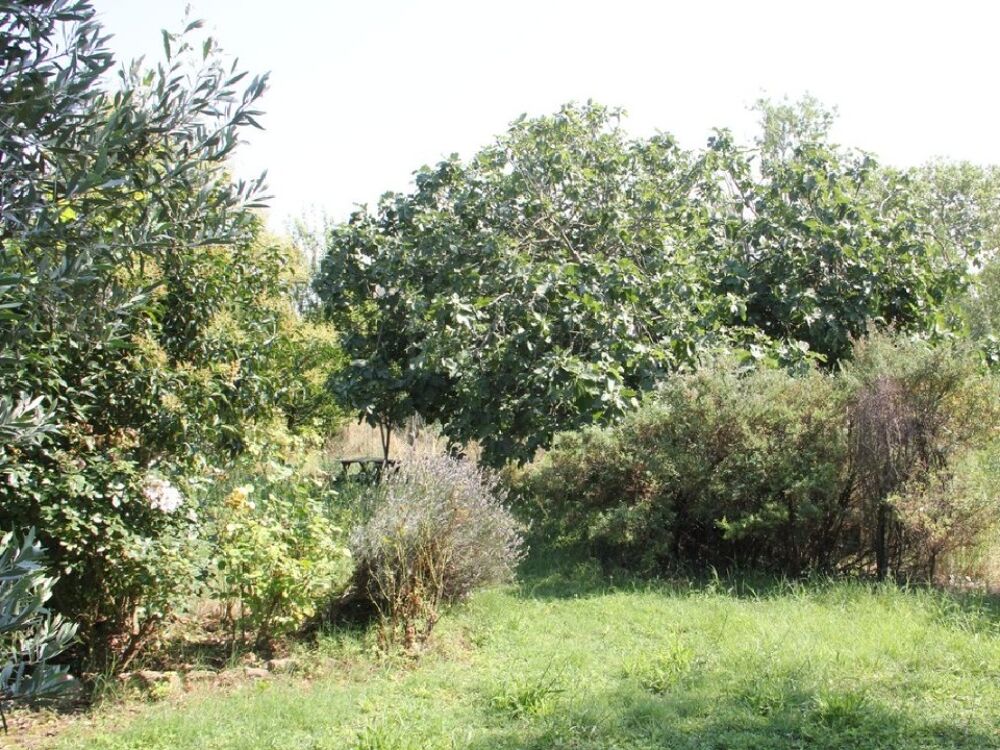 vente Terrain - 720 m² Castelnaudary (11400)
