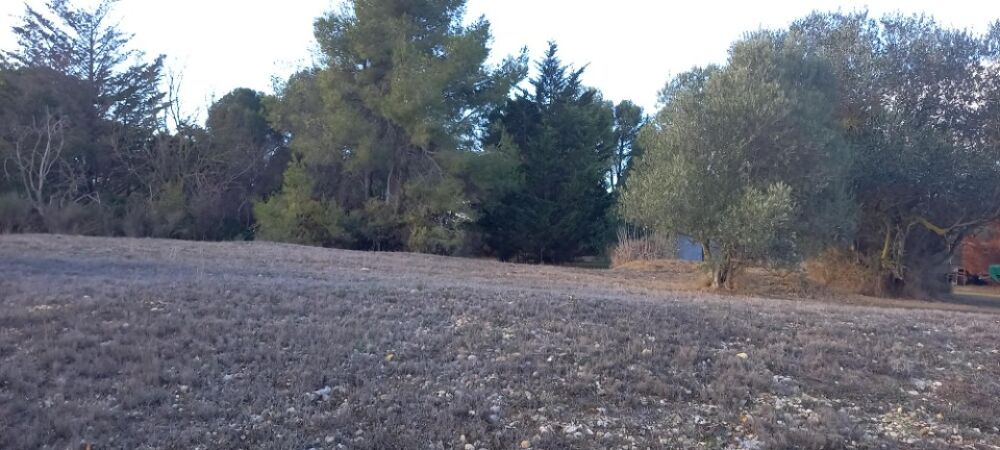 vente Terrain - 609 m² Moussan (11120)