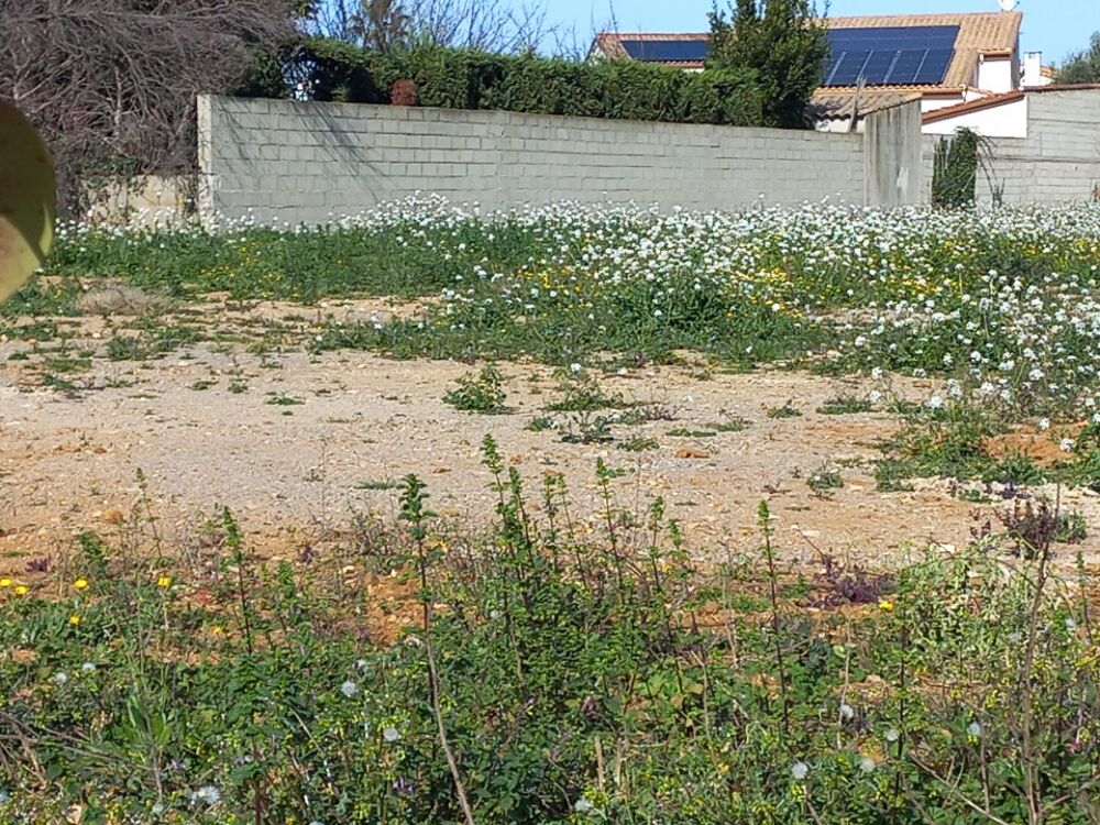 MAISON À CONSTRUIRE DE 110 M² À MAUGUIO, PROCHES DE MONT....