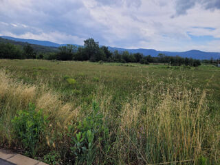  Terrain 740 m� Espira-de-conflent