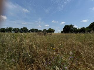  Terrain à vendre 175 m²