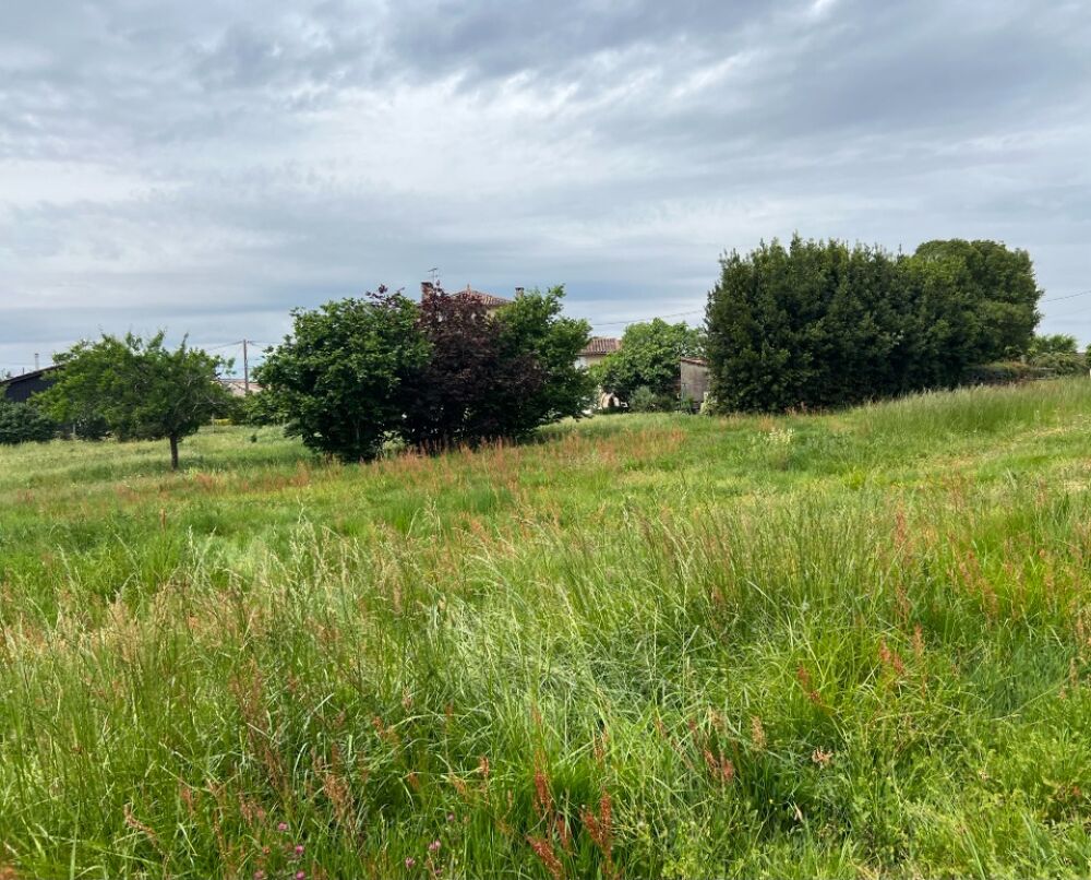 vente Maison - 4 pièce(s) - 90 m² Villenave-de-Rions (33550)