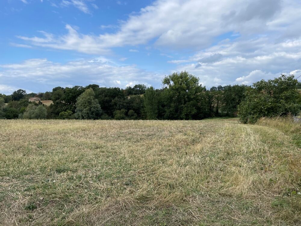 vente Terrain - 1403 m² Montfa (81210)