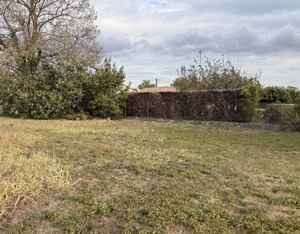 vente Maison - 6 pièce(s) - 101 m² Revel (31250)