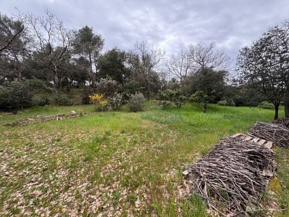 vente Terrain - 609 m² Carnoules (83660)