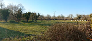  Terrain 1000 m� M�nesplet