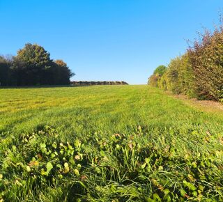  Maison � vendre 5 pi�ces 231 m�