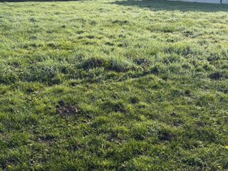  Maison 4 pi�ces 90 m� Saint-sulpice