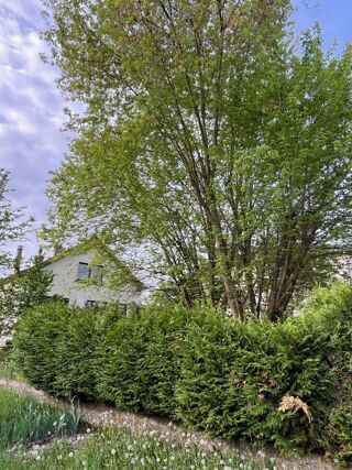  Maison 5 pi�ces 90 m� Yutz