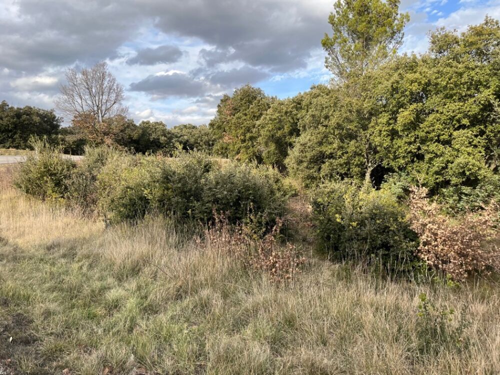 vente Terrain - 785 m² Grignan (26230)