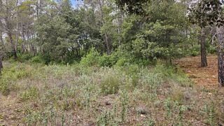  Maison 3 pièces 80 m² Bagnols-en-forêt
