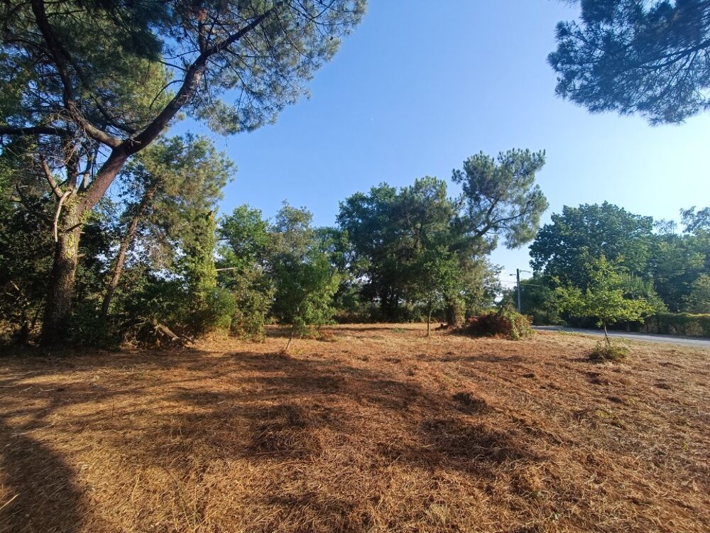 vente Terrain - 850 m² Martillac (33650)
