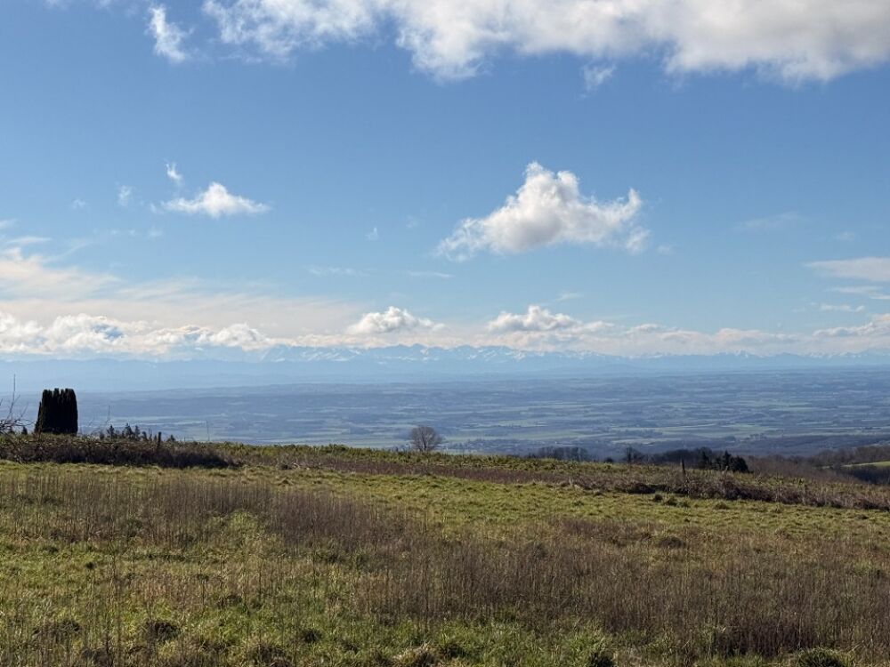 vente Terrain - 2600 m² Les Brunels (11400)