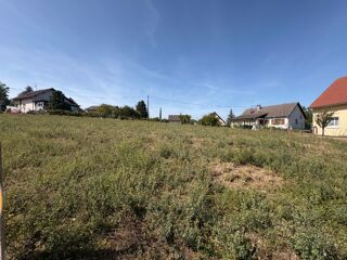  Maison 5 pièces 109 m² Dietwiller